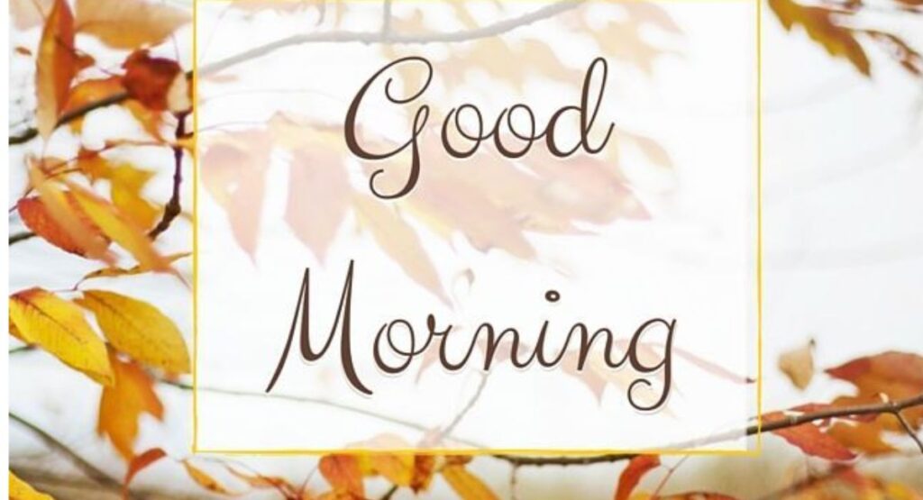 Special day wishes image with meaningful quotes and heartfelt messages for every occasion 2026