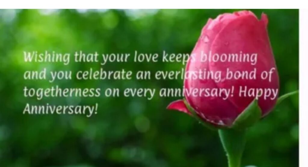 Heartfelt special day wishes for a special person expressing deep emotions, love, appreciation, and meaningful moments